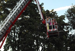 dni świętego michała zdjęcia z konkursu